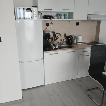 трушеви 公寓